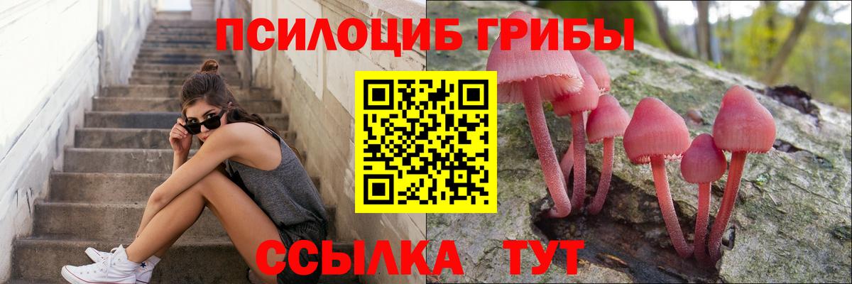 Псилоцибиновые грибы ЛСД  Вход с VPN  наркота  Луга 